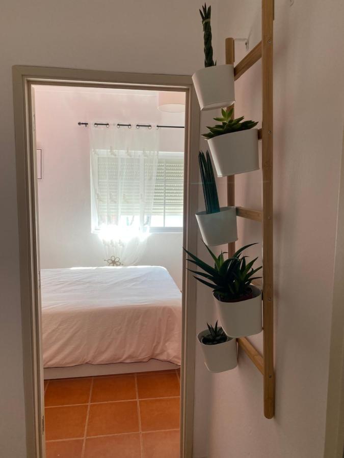 Apartamento Vicentino Vila Nova de Milfontes Exterior foto